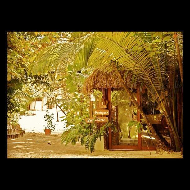 Casa Violeta Hotel Tulum Kültér fotó