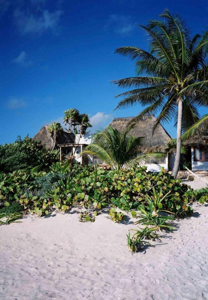 Casa Violeta Hotel Tulum Kültér fotó