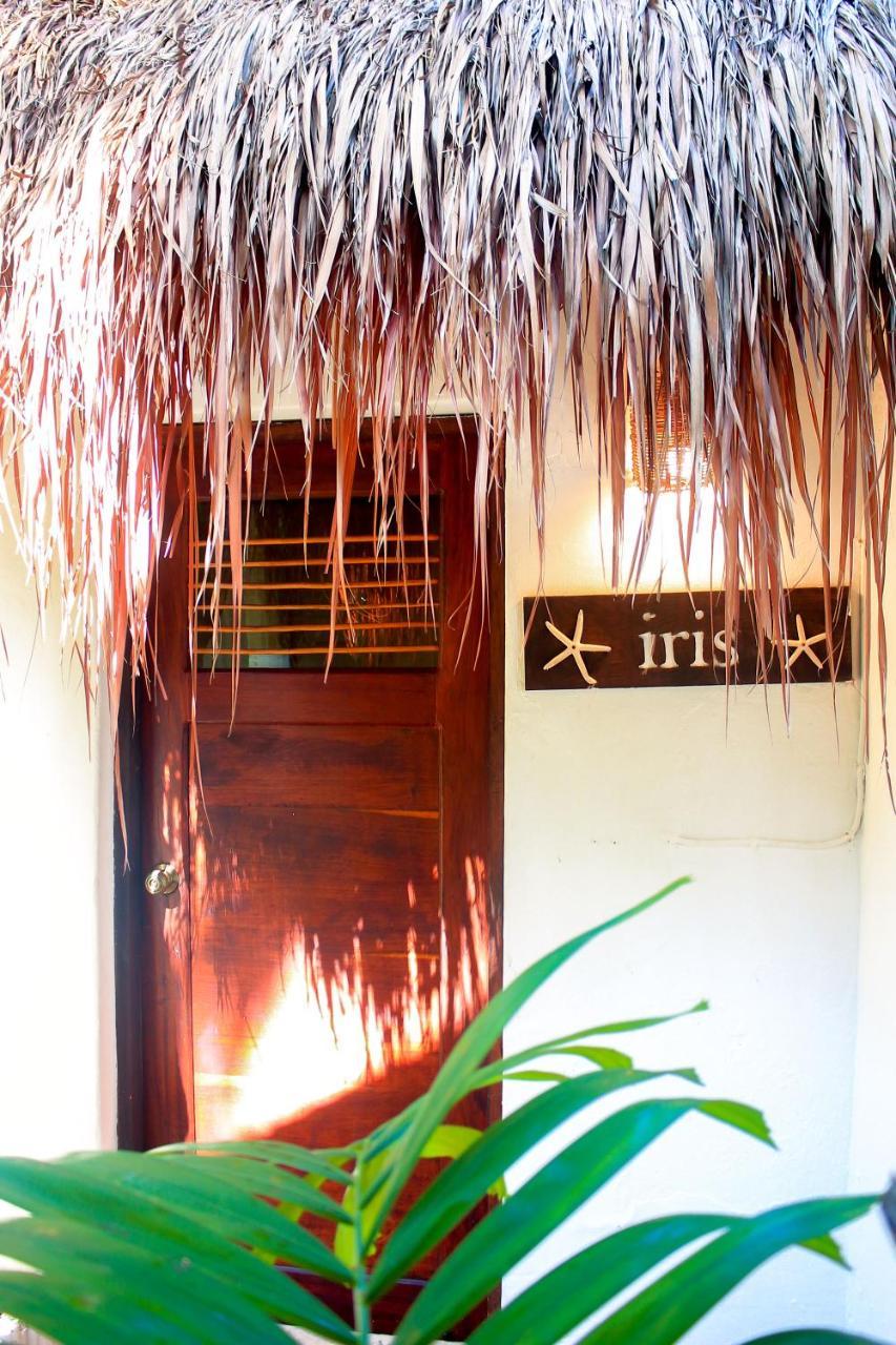 Casa Violeta Hotel Tulum Kültér fotó